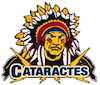 Les Cataractes de Shawinigan